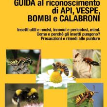 Giovanni Bosca, GUIDA AL RICONOSCIMENTO DI API, VESPE, BOMBI E CALABRONI