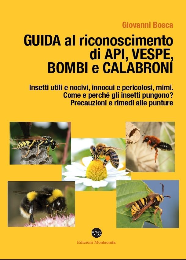 Giovanni Bosca, GUIDA AL RICONOSCIMENTO DI API, VESPE, BOMBI E CALABRONI