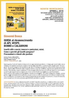 Giovanni Bosca, GUIDA AL RICONOSCIMENTO DI API, VESPE, BOMBI E CALABRONI