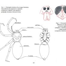 EM11 01 p15