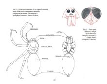 EM11 01 p15