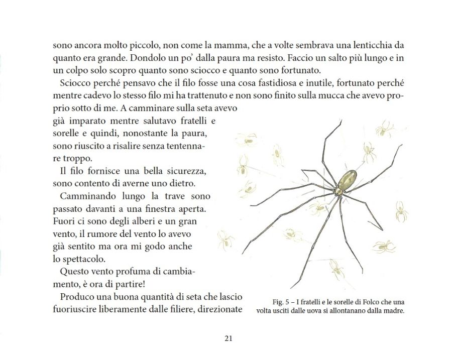 EM11 01 p.21