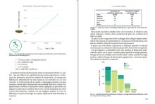 EM48 transizione58 9