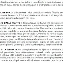 extra2