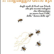 EM073 TAUTZ COVERp
