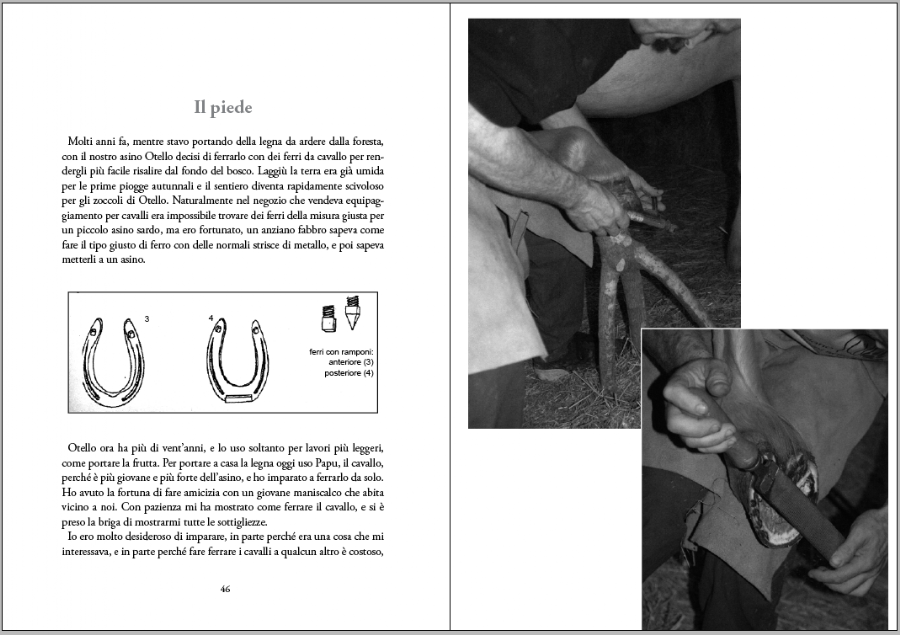 p46 47